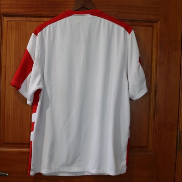 IZOD Indy Car Series PerformX 20th Anniversary Collection Shirt Japan Honda Med - Picture 9 of 11